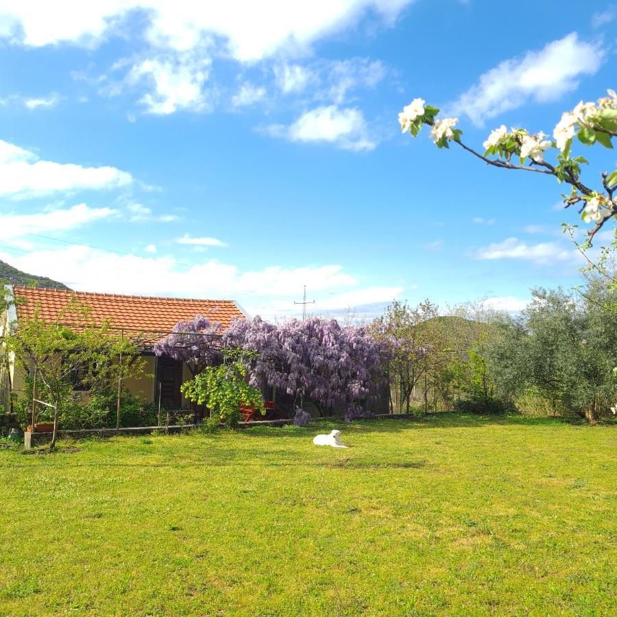 Ivan'S Holiday Home Virpazar Dış mekan fotoğraf
