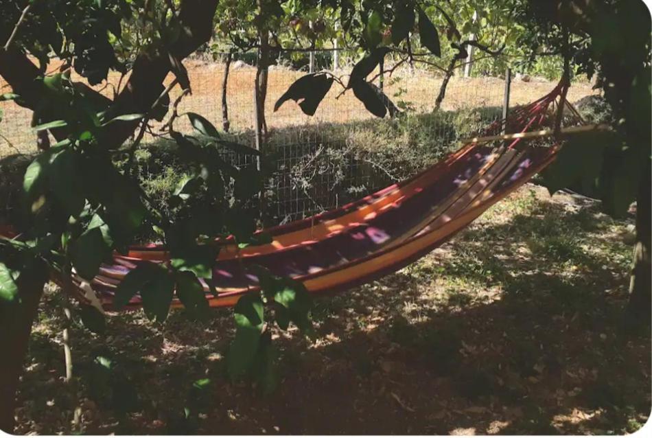 Ivan'S Holiday Home Virpazar Dış mekan fotoğraf
