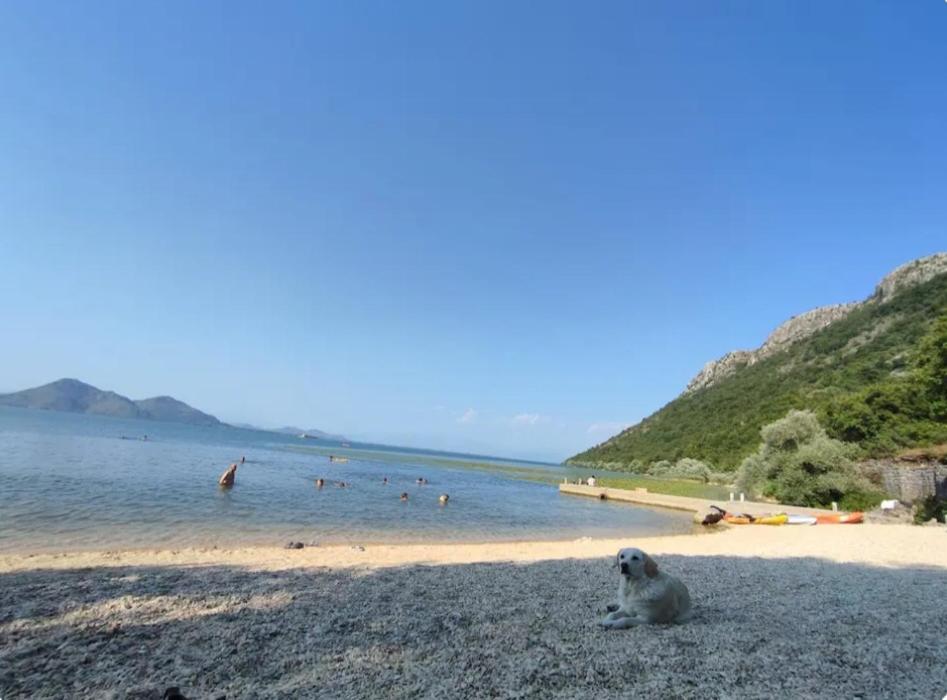 Ivan'S Holiday Home Virpazar Dış mekan fotoğraf