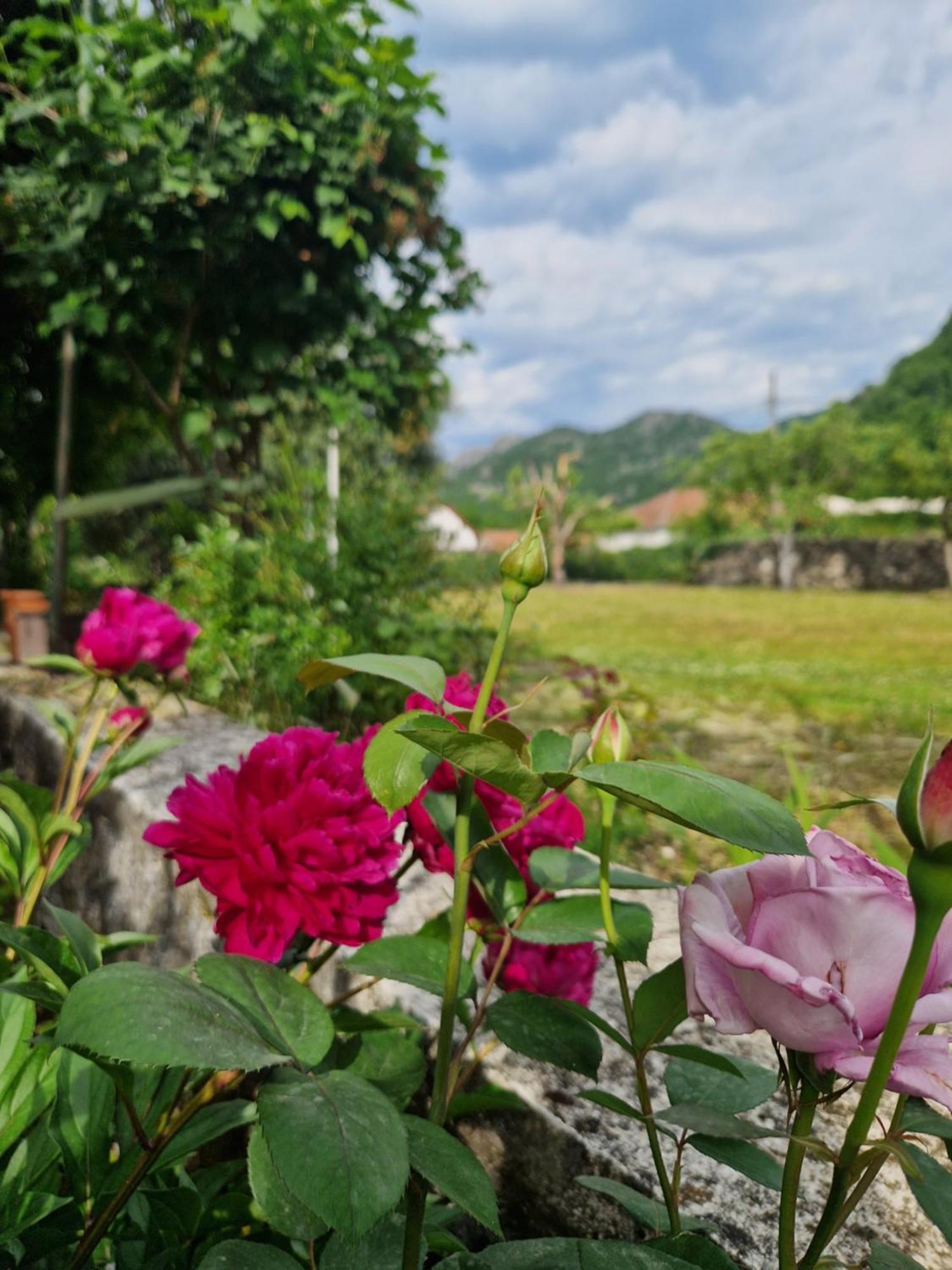 Ivan'S Holiday Home Virpazar Dış mekan fotoğraf